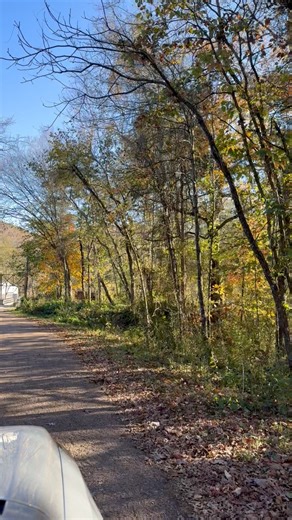 16K views · 360 reactions | We Drove Over The Swinging Bridge in Mountain View, Arkansas #findyourhappy #Arkansas #exploremore | ArkansasWanderer | Facebook