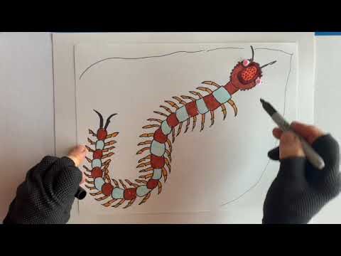 Happy centipede drawing