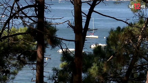 17K views · 122 reactions | Une trentaine de députés Les Républicains suggèrent de décaler les congés, de les commencer plus tard pour les prolonger jusqu'en septembre, afin de sauver la saison touristique. Est-ce envisageable ? Christophe Napoli, Florent Paci et Elise Laperdrix | M6 Info | Facebook