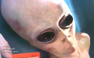 真假难辨！罗斯威尔外星人尸体解剖照片！