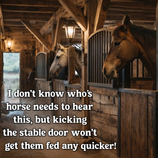 There's always one!! | Horse Sense