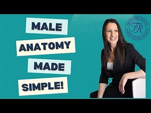 Male Reproductive System Explained | Functions, Anatomy & Human Biology Lesson
