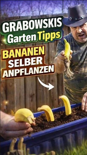 Bananen selber Anpflanzen ‼️Dieter's Professionelle Garten Tipps #selbstversorger #gartengestaltung