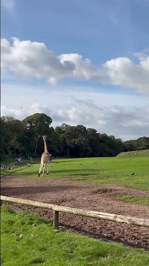 Fota Wildlife Park, Cork, Ireland
