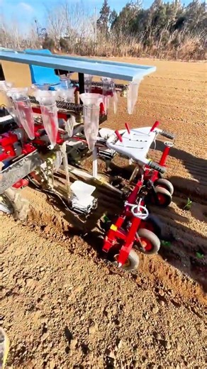 The small self-propelled vegetable seedling transplanter is powered by itself for transpla