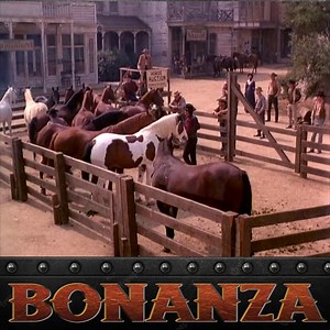 190K views · 4.1K reactions | Bonanza Season 9 Episode 12- Check Rein - P2 | Bonanza Forever | Facebook