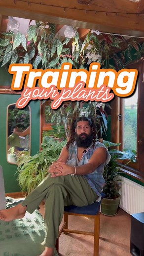 70K views · 2.5K reactions | Training plants to be aesthetically...
