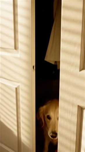 Buddy Strikes Again!