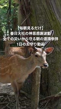 見るだけで大開運。春日大社の聖気と4柱の神々から授かる、強力な厄除けと奇跡の御利益｜遠隔参拝・開運波動