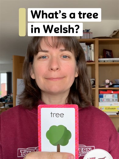 Learn Welsh with Our Daily Word