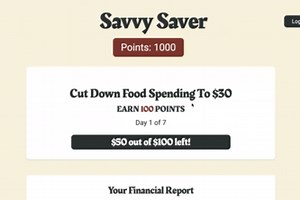 Savvy Saver