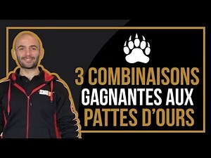 3 combinaisons gagnantes aux pattes d'ours