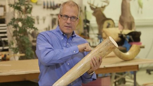 'Warlords of Ivory': Tracking Ivory After Elephant Kills