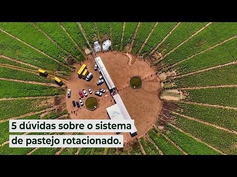 5 dúvidas sobre o sistema de pastejo rotacionado.