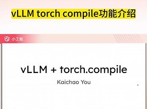 模型怎么用torch.load加载