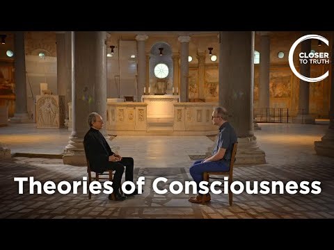 Philip Goff - Theories of Consciousness