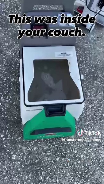 Expert Upholstery Cleaning for Your Couch