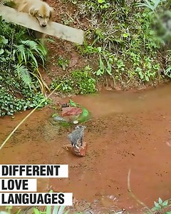 259K views · 5.4K reactions | Helping each other the best form of showing love  | Viral Stories | Facebook