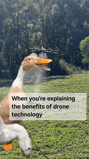 We could *quack* on alllll day about how good our drones are. Get in touch to find out for yourself! #dronesolutions #workingsmarternotharder #InnovationInAction #multiaccessdronesolutions #slaythespray | Multi Access Drone Solutions