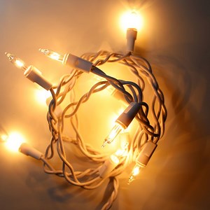 10-bulb Clear Glass Craft Lights, White Wire