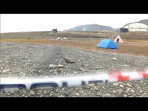 Norvège : un ours polaire attaque un camping et tue un homme