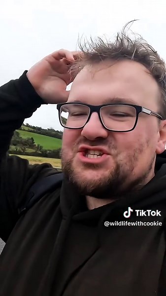 Exploring the Rare Booted Eagle in the UK