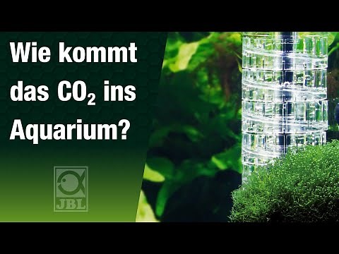 JBL TV 34: Wie kommt das CO2 ins Aquarium? Reaktor, Diffusor & mehr