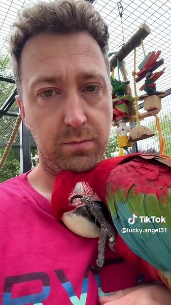 Rescue a parrot in the trash can #animal #rescue #rescueanimals #animalsoftiktok #parrot #parrotsoftiktok