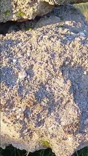 Historic Florida Calcite Mine