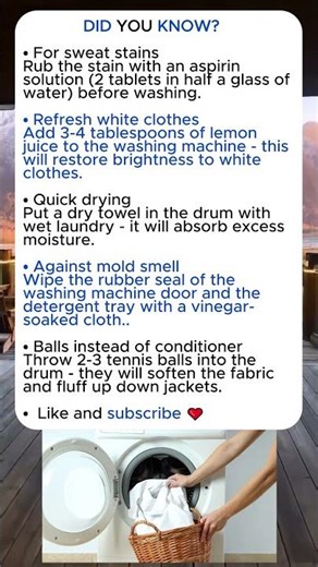 Laundry Hacks You Didn't Know About💡#facts #didyouknow #cloths #lifehacks