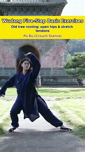 Wudang Five Steps — Build Your Fundamental Roots #qigong #taichi #health #exercise #fitness