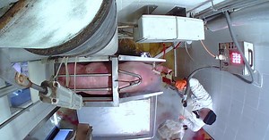 Snimke iz slovenskih klaonica uznemirile ljude: ‘Zašto se tako ponašate prema životinjama?!‘