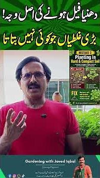 Grow Perfect Dhaniya Every Time | Javaid Iqbal