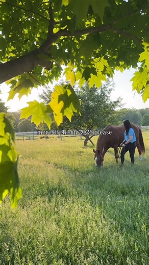 Equestrian Artist | Alex Lederman | Here’s to another year full of art, friends, horses, and mindful moments. 🤎 Thinking about a custom painting of your pet, a favorite... | Instagram