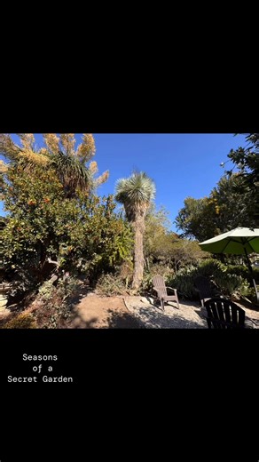 Downey, California Secret Garden #reflectionsdowney #southerncalifornia #DowneyCalifornia #secretgarden #downeyca #jameshetfield #onceuponatimeindowney #Downeyland #positivelydowney #downeygardens | ReflectionsDowney | Facebook