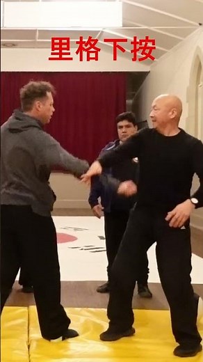 "Redirect, Control, and Take Down: Self-Defense Techniques" #kungfutechnique#chin_na #chinesekungfu