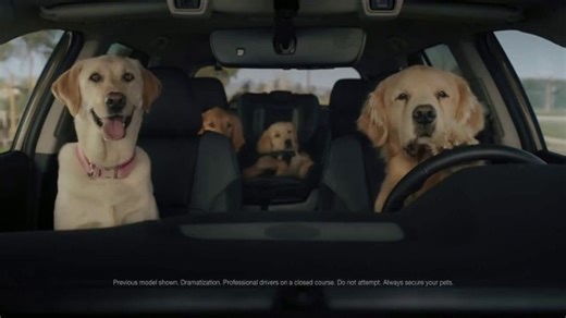 Subaru Outback TV Spot, 'Dog Tested: No Pets Allowed' [T1]