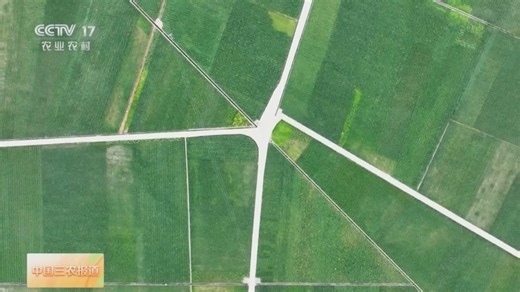 [中国三农报道]2025年中央一号文件解读 高标准农田建设 强化全流程监管 确保建一亩成一亩