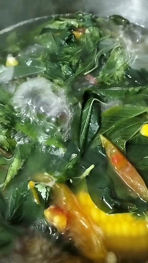 Saluyot or jute leaves.. Nakakamis ang ganitong luto.. #foodideas #viralreels #fbyシ #saluyot | Jenne Lyn