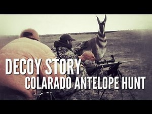 Colorado Antelope Hunt | Decoy Story