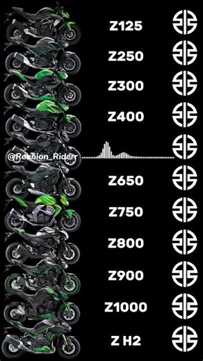 Kawasaki Z Series Exhaust Sounds