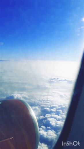 Flying Above the Clouds ☁️ | Mesmerizing Window View ​#travel #clouds #airplane #windowseat #sky