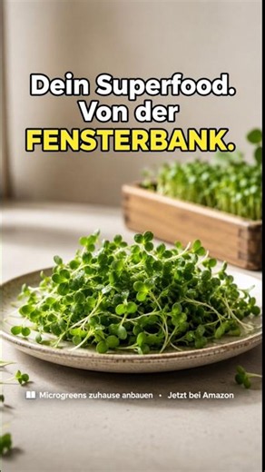 Microgreens Zuhause anbauen #microgreens #superfoods #ernährung #superfood