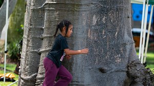 Florida homeowners in dispute over cutting down shared tree. Can HOA break the tie?