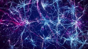 Blue technology neuron grid particles, medical experimental research, medical video element animation, video shows a synaptic network of neurons and electrical impulses inside the human brain.