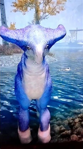 SKYRIM THE VERADON - MOUNT FROM ELSWEYR #mods #games #skyrim