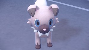 Where To Find And Catch Rockruff in Pokemon Scarlet & Violet