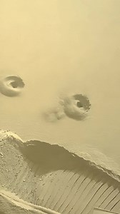 See the drilling by Mars rover on the surface of Mars. #marsmission #NASA #mars | Space Journey