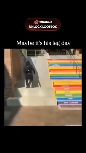 Unviversal Clips on Instagram: "This viral meme video, first popular around 2020, depicts a man dramatically sidestepping rainbow-coloured stairs with overlaid text declaring "STFU I'M NOT TAKING THE GAY STAIRS," satirising exaggerated avoidance of LGBTQ+ symbolism through physical comedy. post adds a fitness spin with the caption "Maybe it's his leg day," reframing the exhaustion as workout dedication, which garnered over 1,200 likes and replies blending leg day puns with subtle identity jabs.