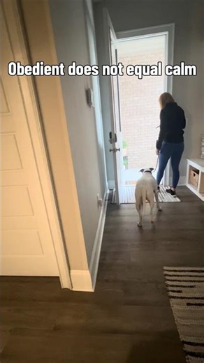 Obedient does not equal calm – read the description for more information ￼